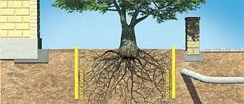 Root Barriers